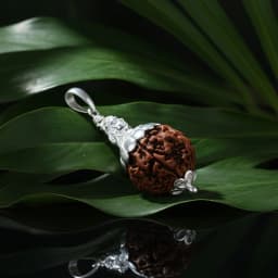 Shankar Rudraksha Silver Locket