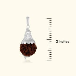 Shankar Rudraksha Silver Locket