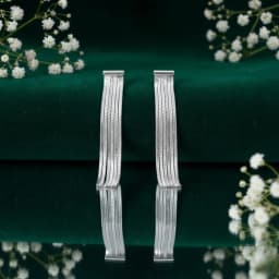 Fancy Silver Earrings