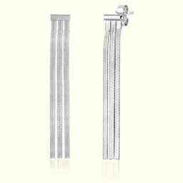 Fancy Silver Earrings