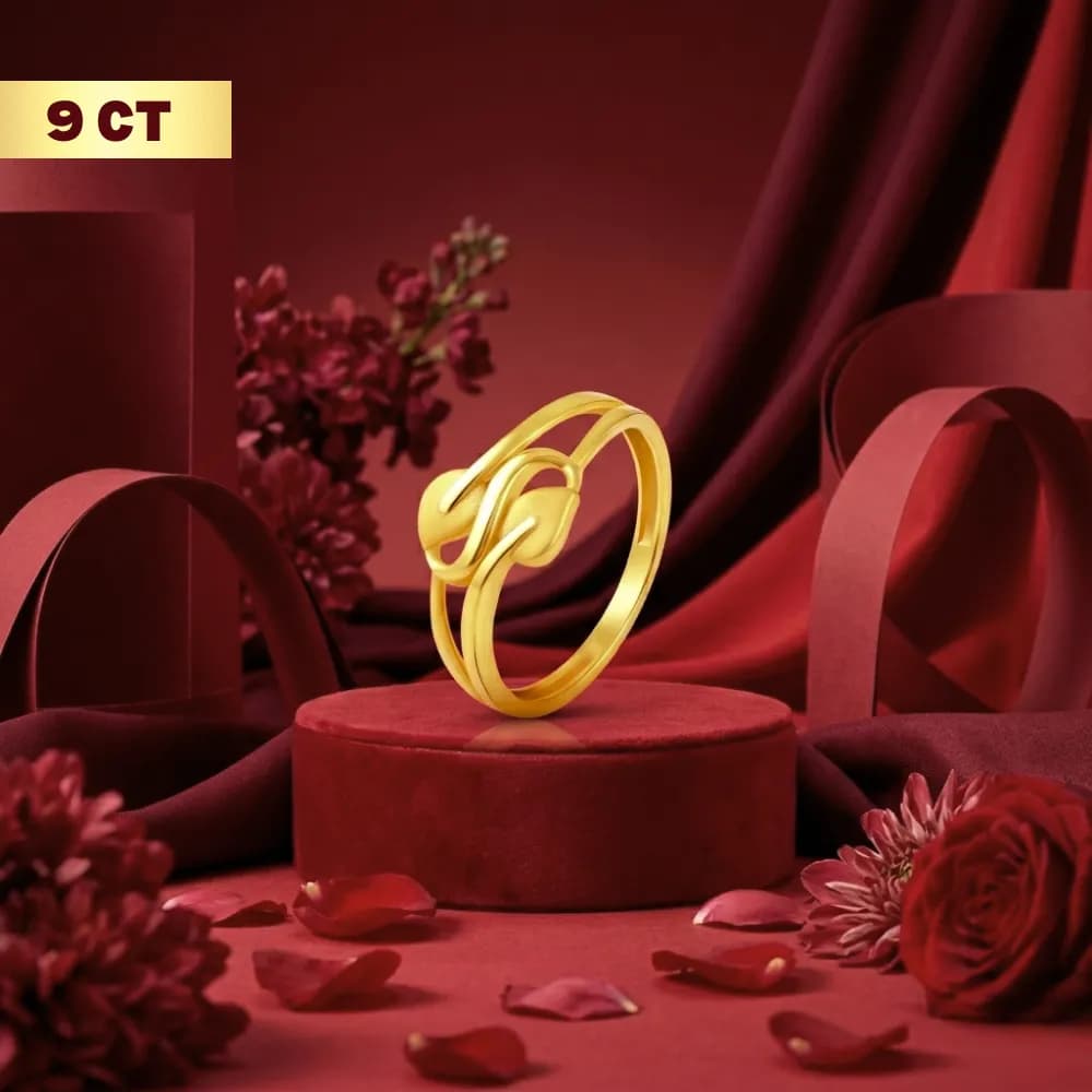 Eternal 9CT Gold Loop Dailywear Ring