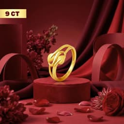 Eternal 9CT Gold Loop Dailywear Ring