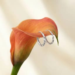 Sleek Daily Wear Silver Bali