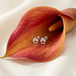 Rosebud Sparkle Tops
