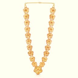 Golden Shimmering Jaswand Haar