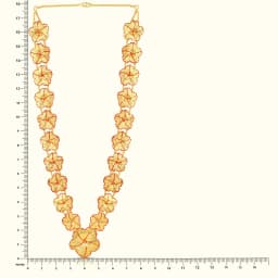 Golden Shimmering Jaswand Haar