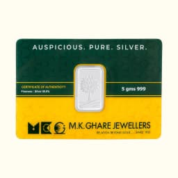 5 Gram 999 Silver Biscuit