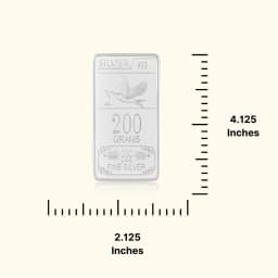 200 Grams 999 Silver Biscuit