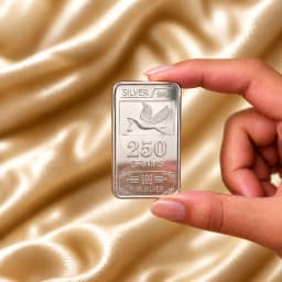 250 Grams 999 Silver Biscuit