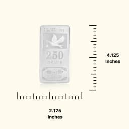 250 Grams 999 Silver Biscuit