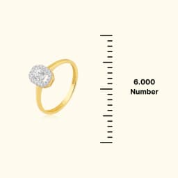 Elysian 9CT Gold Oval Halo AD Solitaire Ring
