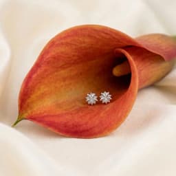 Fleur de Silver Tops
