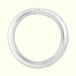 Unique Silver Baby Wale