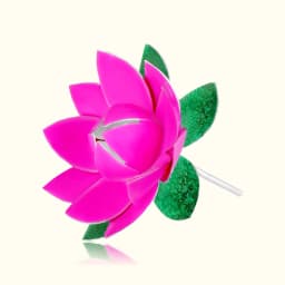 Elegant Silver Pink Flower