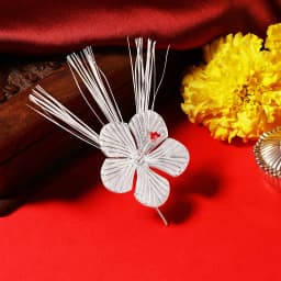 Silver Jaswand Flower and Silver Durva Ganpati Set
