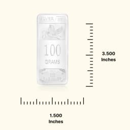 100 Grams 999 Silver Biscuit
