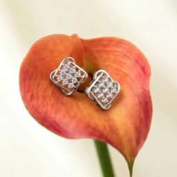 Celestia Studs