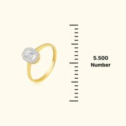 Elysian 9CT Gold Oval Halo AD Solitaire Ring