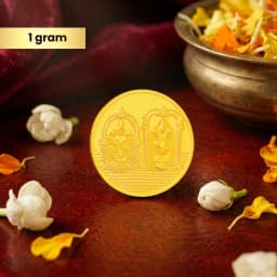 Gold Gift Coins